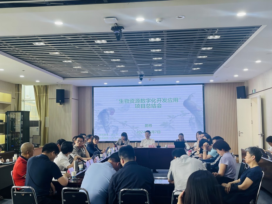 图片1(1).jpg